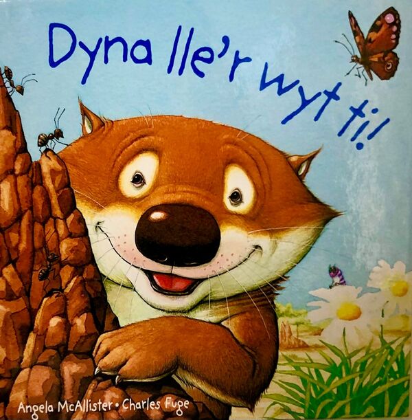 A picture of 'Dyna lle'r wyt ti' 
                              by Angela McAllister
